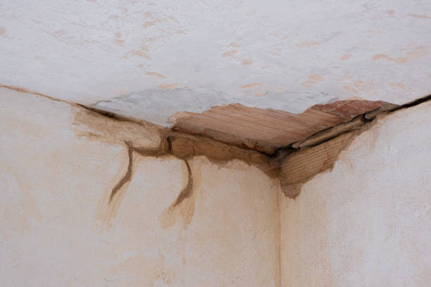 Best Ceiling water damage repair  in Etowah, NC