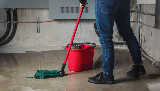Best Sewage cleanup and water damage restoration  in Etowah, NC