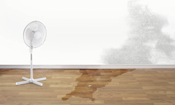 Best Ceiling water damage repair  in Etowah, NC