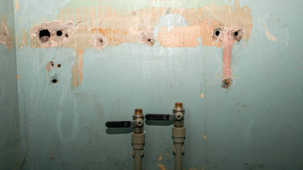 Best Professional water damage repair  in Etowah, NC