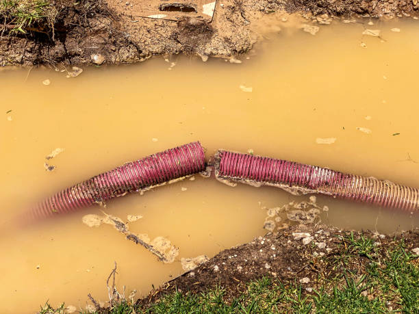 Best Residential water damage restoration  in Etowah, NC