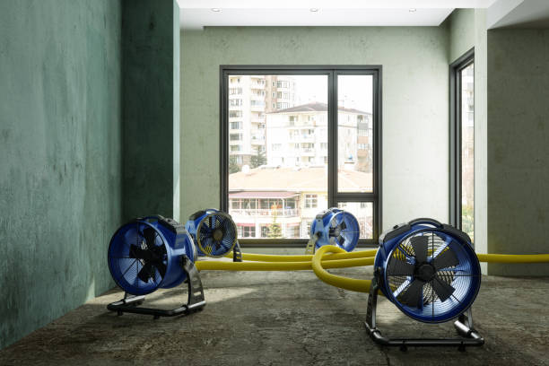 Best Water damage restoration near me  in Etowah, NC